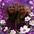 Louise Brookes's profile image