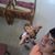 Carlos Russell Velasco-Bourbon's profile image