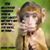Ted Edwards's profile image
