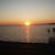 Sharon Althouse's profile image