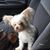Brenda Todd-King's profile image