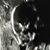 Bernie Harrison's profile image