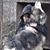 Geryl Dzikowski's profile image