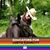 Bryna Wiens's profile image