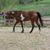 Laurel Webb's profile image