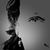 Susan Heaton Ellison's profile image