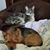 Nancy Schultz Thompson's profile image