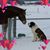 Tricia Gingerich's profile image