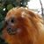 Randy DeGeorge's profile image