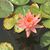 D. Alice Taylor's profile image