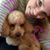Svenja Spirtz's profile image