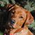 Traci Tice McCullough's profile image