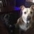 Kathy Jones Pawlowski's profile image