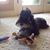 Dianne Harrison's profile image