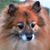 Michelle Hall Hoffman's profile image