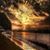 Jeanel Wilson's profile image