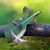 David Roberts's profile image