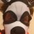 Josh Summer's profile image