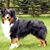 Glenna Feir's profile image