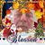 Florin Leontescu's profile image