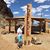 Sue Langworthy Johnston's profile image