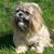 David Manning's profile image