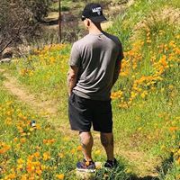 David McDonough's profile image
