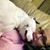 Peg Grant's profile image