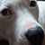 Candi Jackson-Truman's profile image
