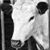 Stephanie Grimes's profile image
