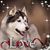 Silvia Golz's profile image