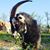 Christine Faul's profile image