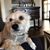 Sarah Palisi Chapin's profile image