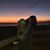 Lisa Avebury's profile image