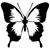 Connie Cronin's profile image