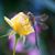 Rose Arvin's profile image
