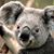 Doris Thomas's profile image