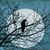 Abbie L. Chapman's profile image