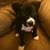 Pam Stasko McKiernan's profile image