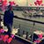 Xiomara Briceno Rodriguez's profile image
