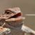 Travis Williamson's profile image
