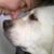Bonnie A. Kakos's profile image