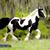 Brian Hatfield's profile image