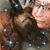 Miranda Genetti's profile image