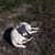 Sara Berryman's profile image