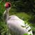 John Weathers's profile image