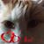 Werner Horlamus's profile image