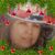 Liz Esparza's profile image