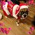 Donna Mae Brien's profile image