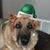 Karen Nappi's profile image